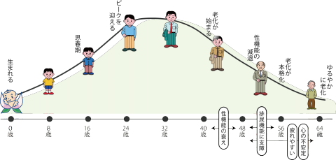 男 の 更年期 漢方