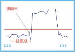 排卵期