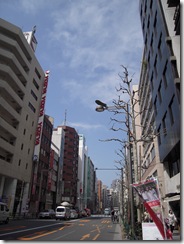 画像 005