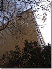 201303181