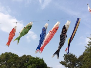 写真 (2)
