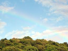 images (4)