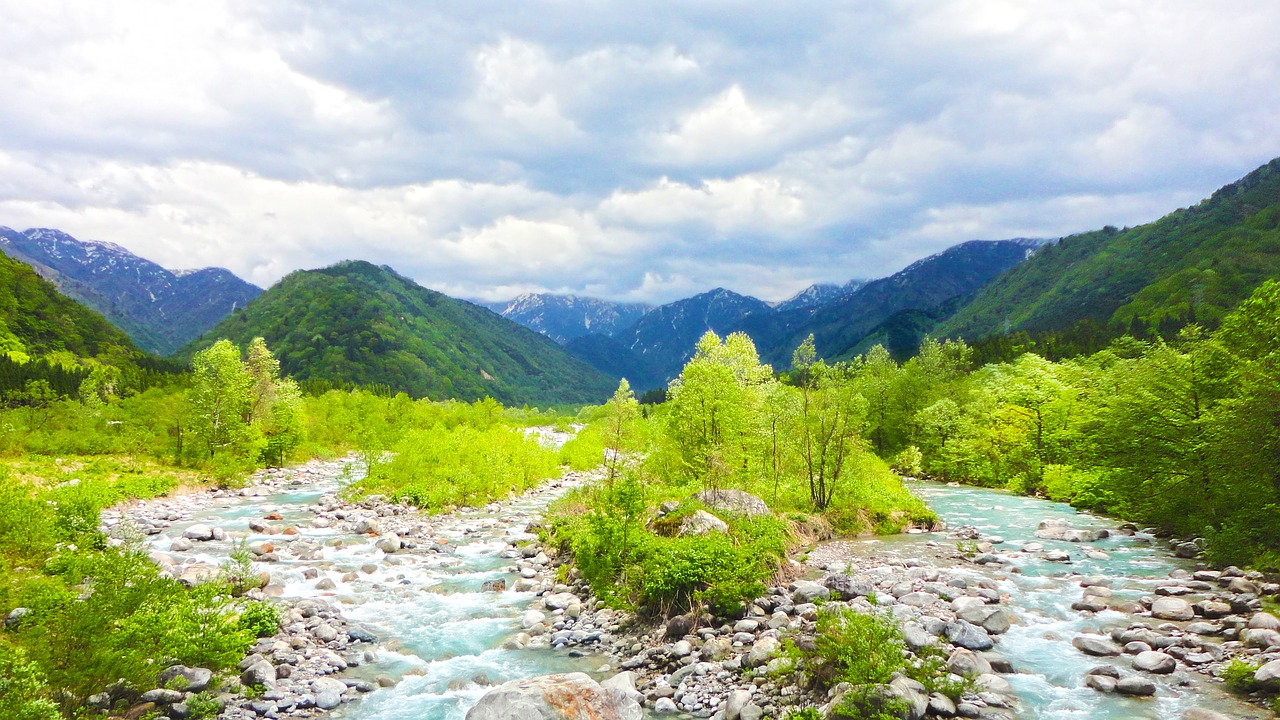 fresh-green-2704952_1280