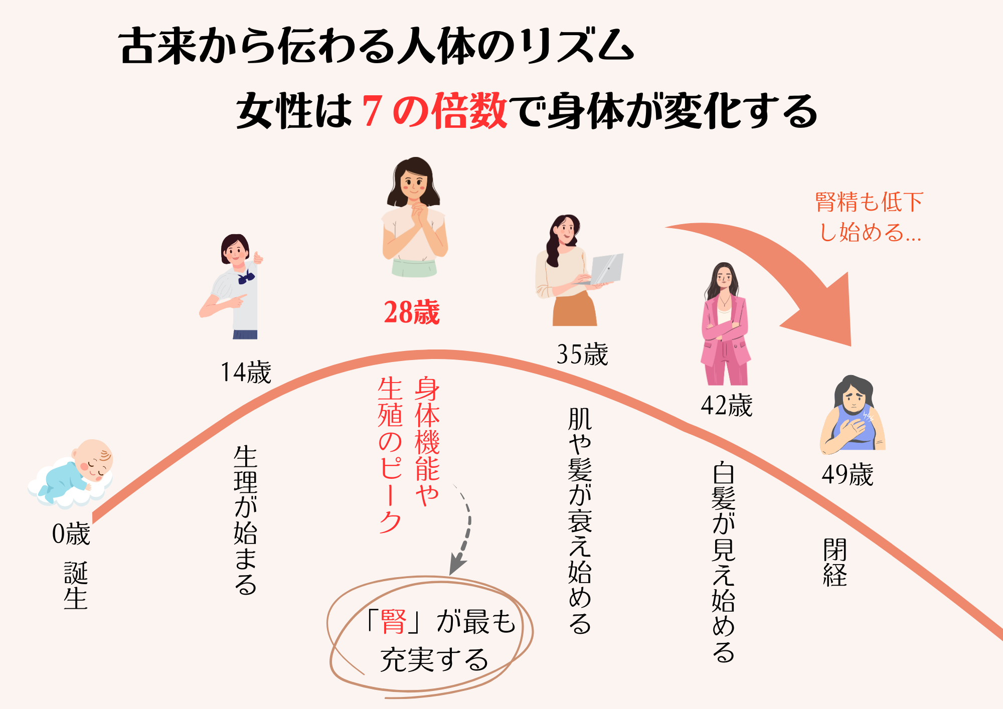 女性 7 の 倍数