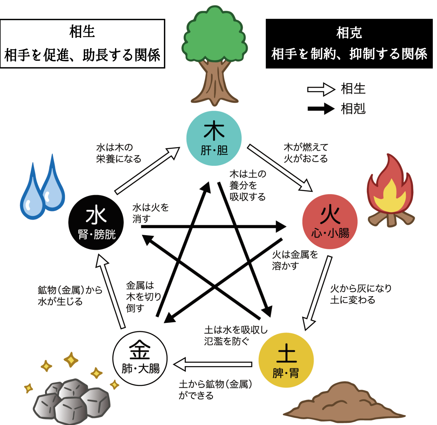 知ってみよう！中医学～五行論～／重原淳一 | ブログ日記 | 六本木店 