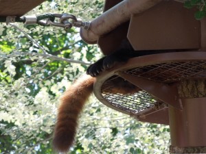 写真 2013-07-16 23 23 30 (1)